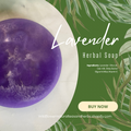 Lavender Soap w/Loofa