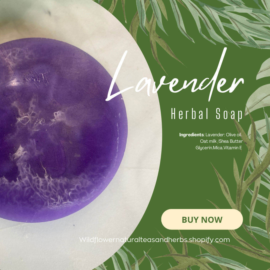 Lavender Soap w/Loofa