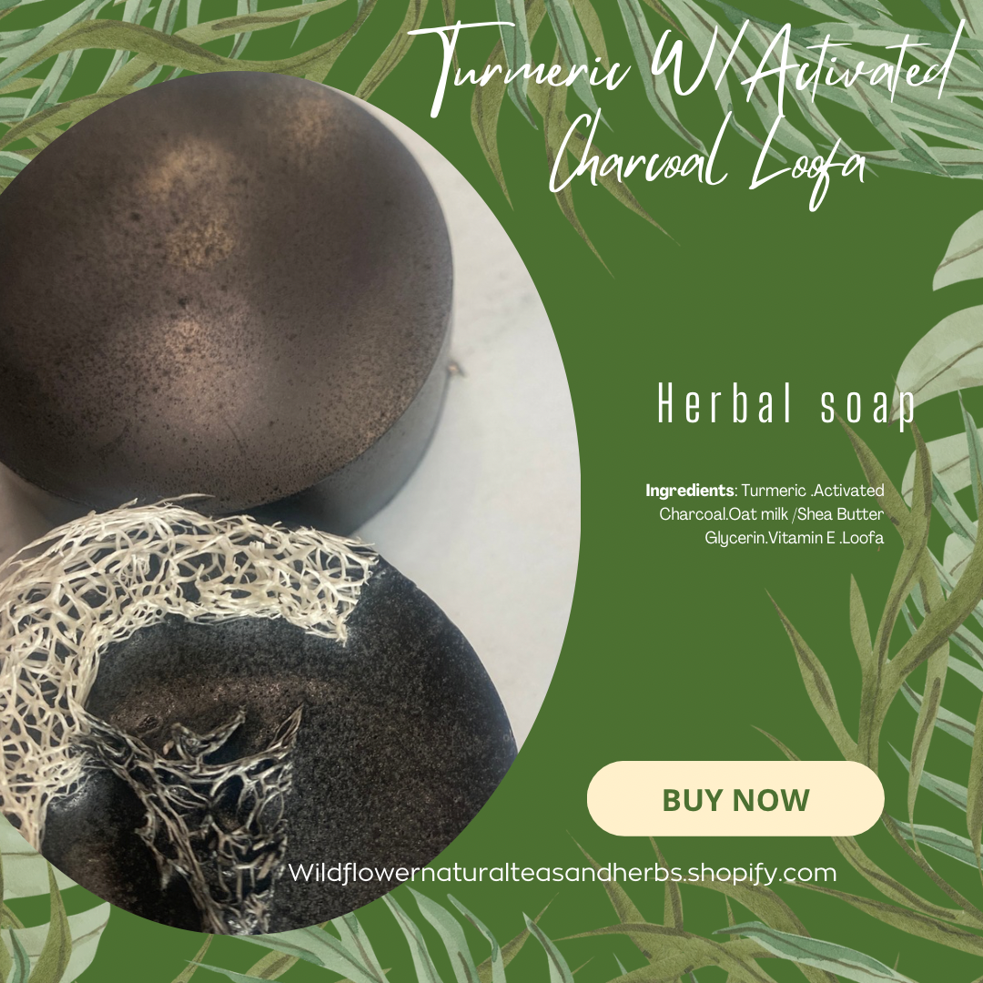 Activated Charcoal Loofa Soap